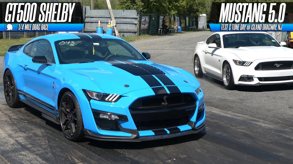 Shelby GT500 vs Mustang 5.0 Drag Race Showdown!